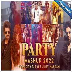 Party Mashup 2022 - Velocity Tjs