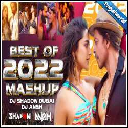 Best of 2022 Mashup - DJ Shadow Dubai x DJ Ansh