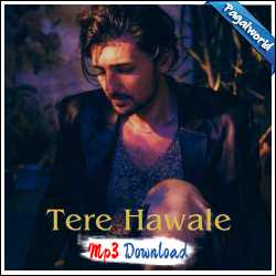 Tere Hawale Cover