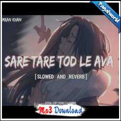 Sare Tare Tod Le Ava (Slowed And Reverb)