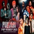 Punjabi POP Mashup 2023 - Sunny Hassan