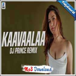 Kaavaalaa Remix - DJ Prince