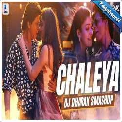 Chaleya Smashup - DJ Dharak